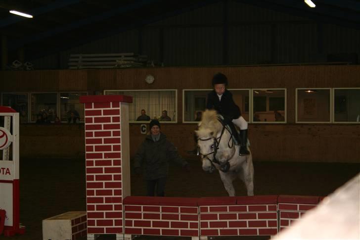 Lucky - Lucky til stævne i Viborg billede 9