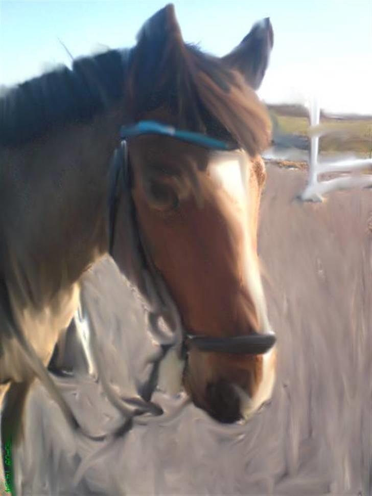 Leger med billeder :) billede 2