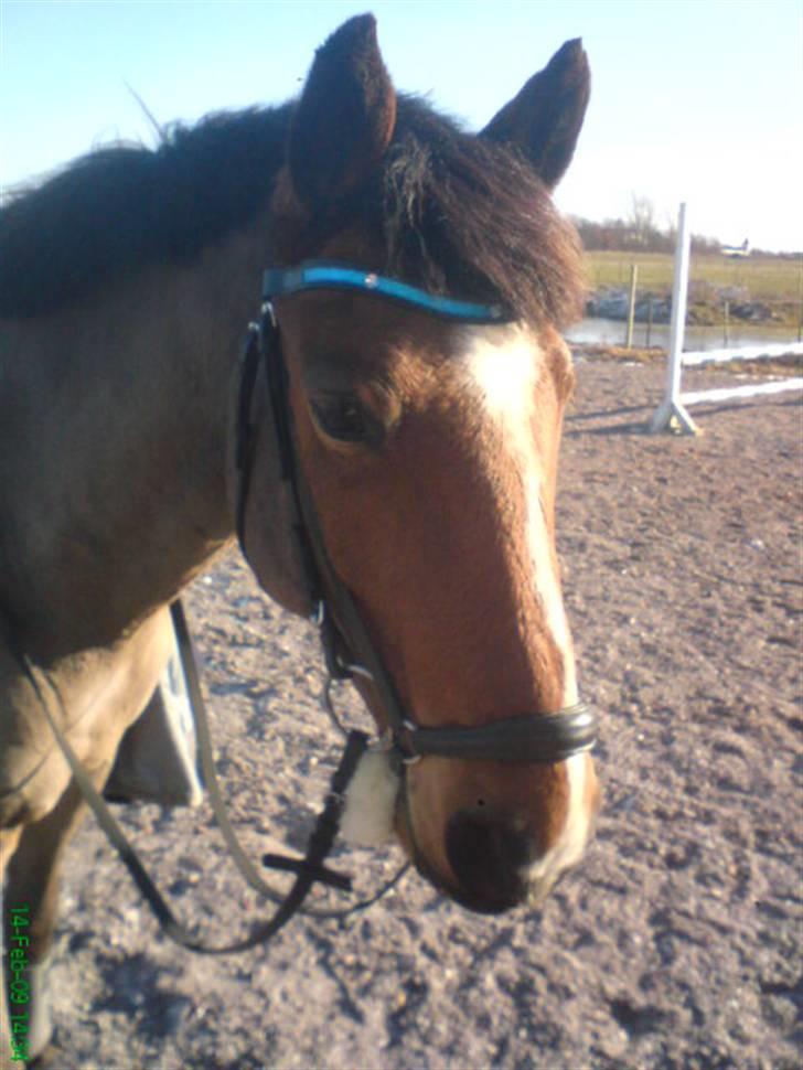 Leger med billeder :) billede 3