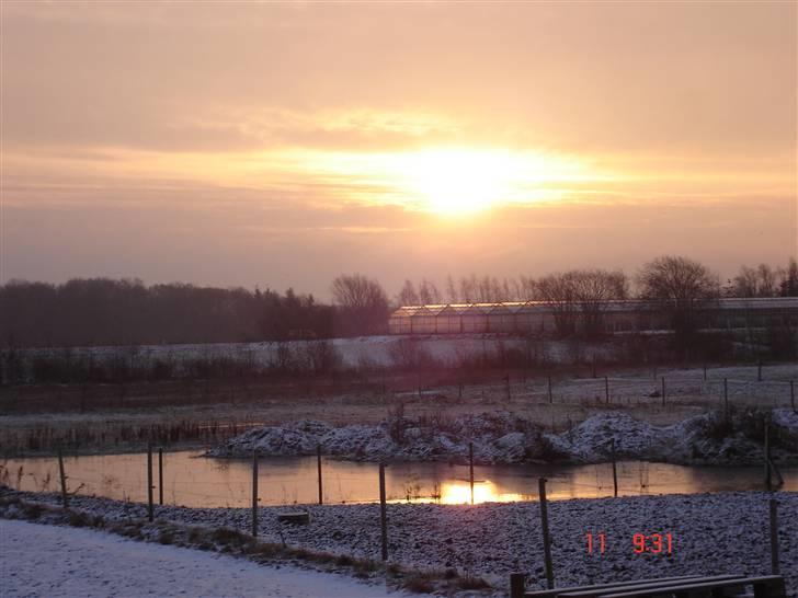 Leger med billeder :) billede 5