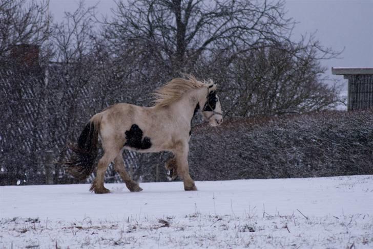 VINTERDAG.... - Fedeste garn i verden..... :) billede 27