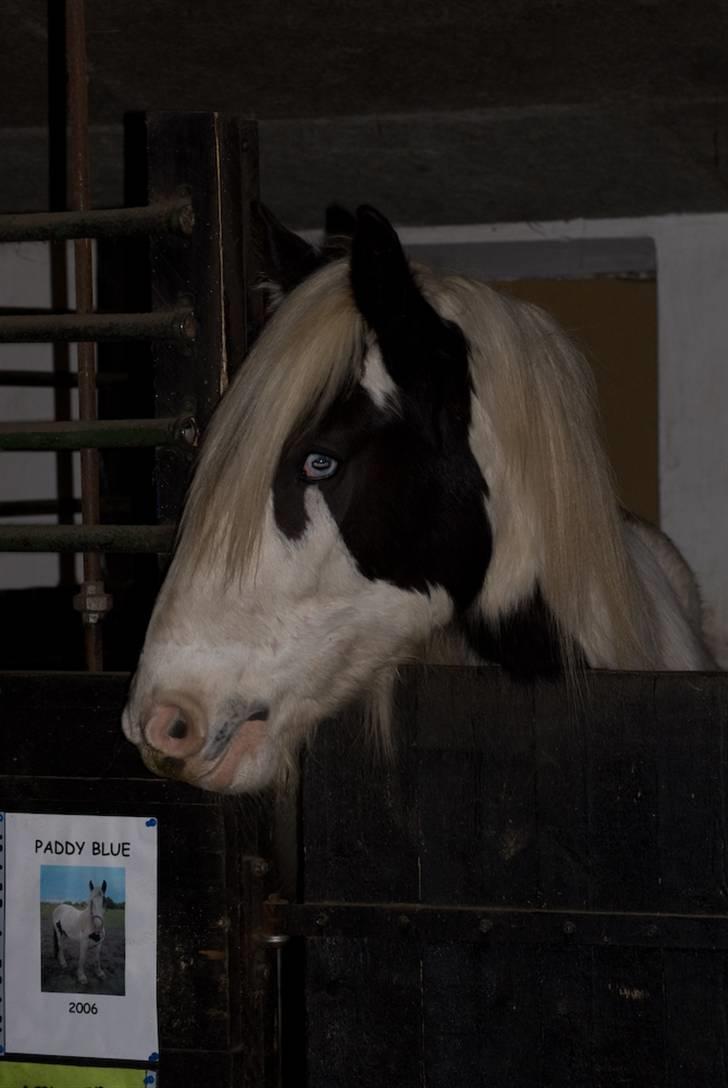 VINTERDAG.... - Seee..... Mit navneskilt.... Her bor jeg.... :D billede 40