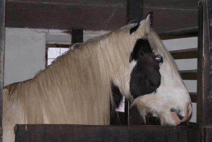 VINTERDAG.... - Lækker, lækker, lækker...... billede 44