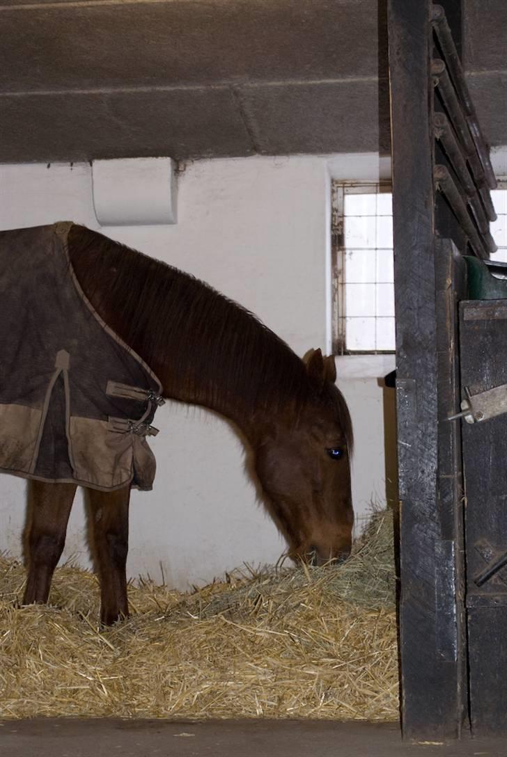 VINTERDAG.... - Elle kan lide NAM NAM...... billede 46