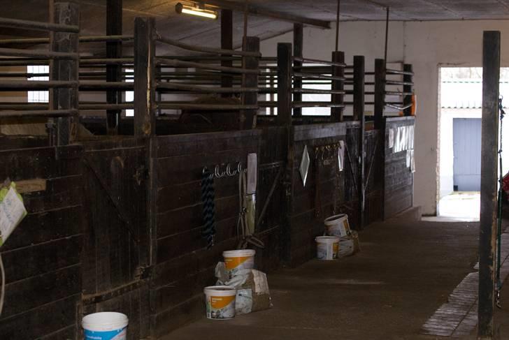 VINTERDAG.... - Mine 2 nye lækre bokse..... :D billede 47