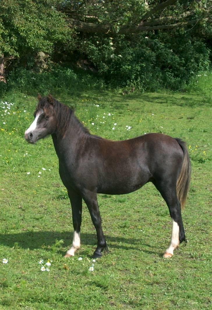 Jason(gammel halvpart) - Jason:) billede 1