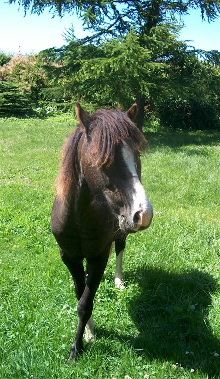 Jason(gammel halvpart) - Hej smukke jason billede 2