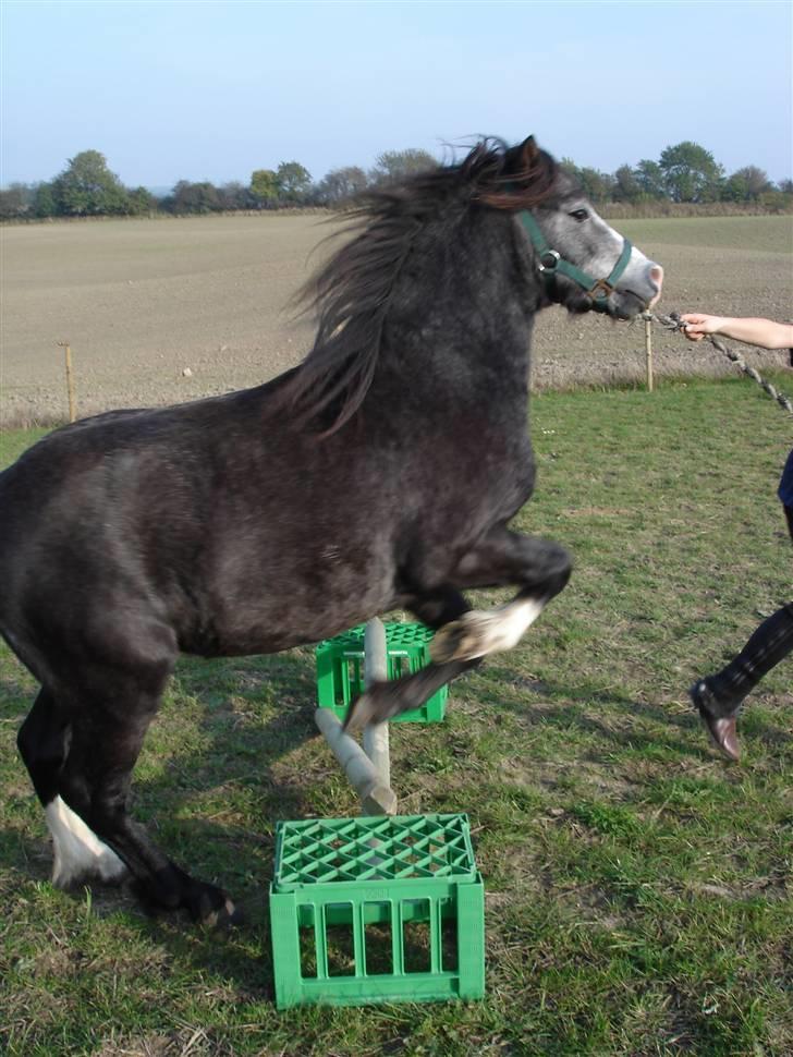 Jason(gammel halvpart) - Jason første gang han spranger billede 9