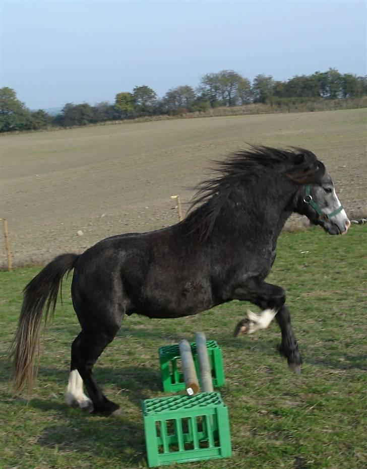 Jason(gammel halvpart) - Jason første gang han spranger billede 10