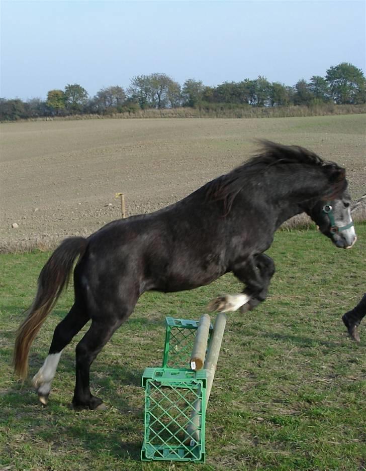 Jason(gammel halvpart) - Jason første gang han spranger billede 11
