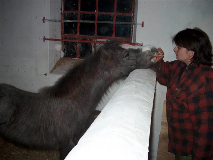 Jason(gammel halvpart) - Min veninde Maja med Jason billede 18