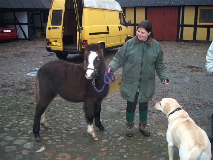 Jason(gammel halvpart) - Maja og Jason:) billede 24