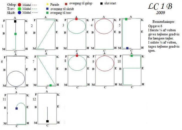 NYE dressur programmer - LC 1 B MED OVERGANGE billede 6