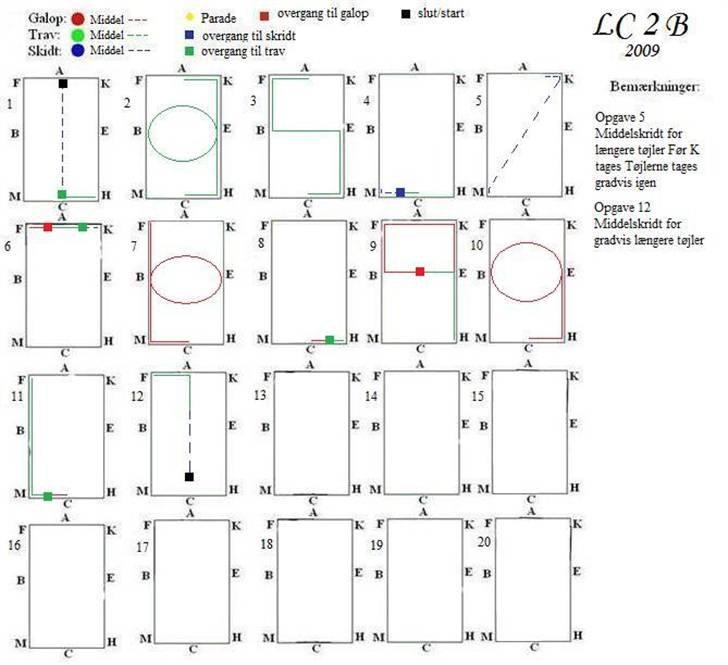 NYE dressur programmer - LC 2 B MED OVERGANGE billede 7