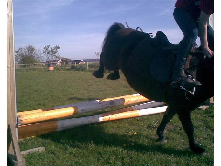 {{currentPhoto.altText}} billede {{currentPhoto.number}}