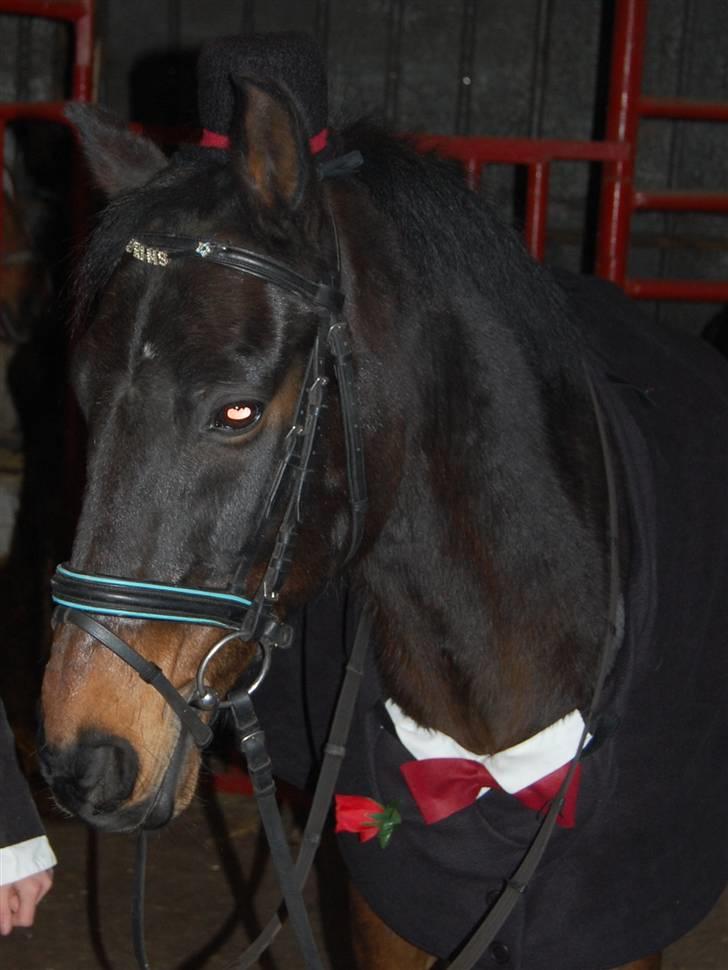 "Fastelavn er mit navn ..."  Fastelavns billeder :'D - Brudegommen som er min Prinse~Mandse<3
Fotograf: Min mor d: billede 5