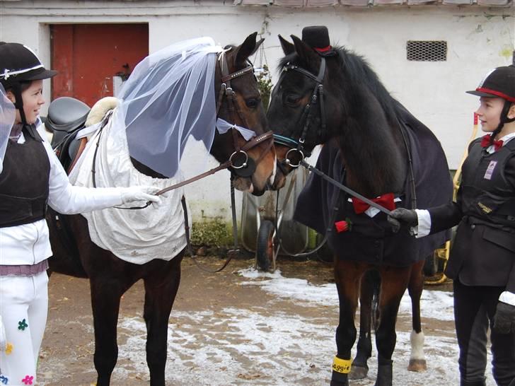 "Fastelavn er mit navn ..."  Fastelavns billeder :'D - Prins og Maggie<33

Fotograf: Min mor d: billede 9
