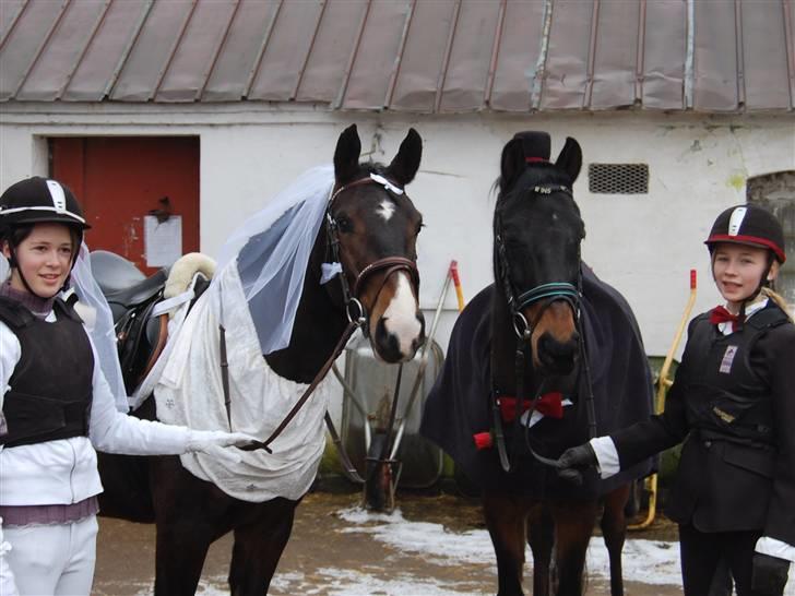 "Fastelavn er mit navn ..."  Fastelavns billeder :'D - Prins og Maggie<33
Fotograf: Min mor d: billede 10