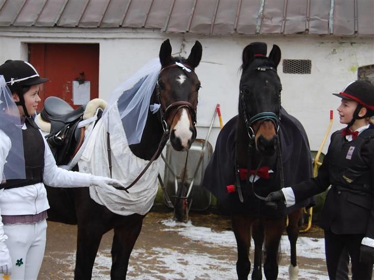 "Fastelavn er mit navn ..."  Fastelavns billeder :'D - Prins og Maggie<33
Fotograf: Min mor d: billede 11