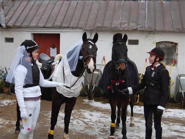 "Fastelavn er mit navn ..."  Fastelavns billeder :'D - Prins og Maggie<33
Fotograf: Min mor d: billede 12