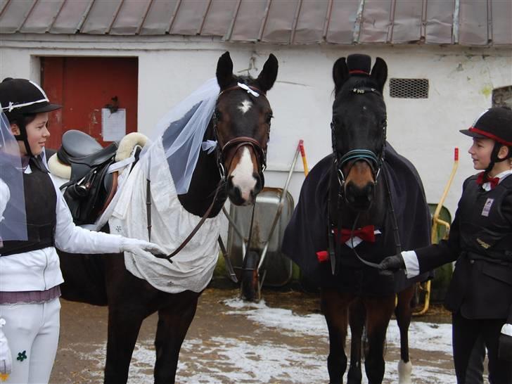 "Fastelavn er mit navn ..."  Fastelavns billeder :'D - Prins og Maggie<33

Fotograf: Min mor d: billede 14