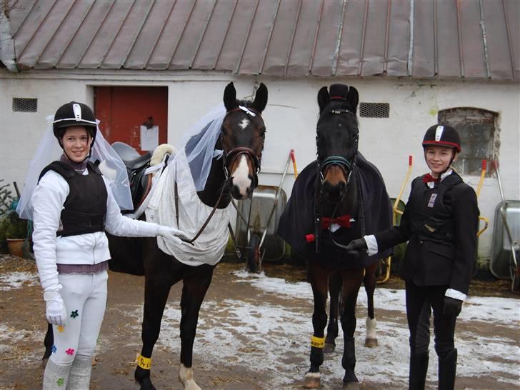 "Fastelavn er mit navn ..."  Fastelavns billeder :'D - Prins og Maggie<33

Klædt ud som brud og brudegom :] Så nu er de officelt blevet gift ! <3
Fotograf: Min mor d: billede 16