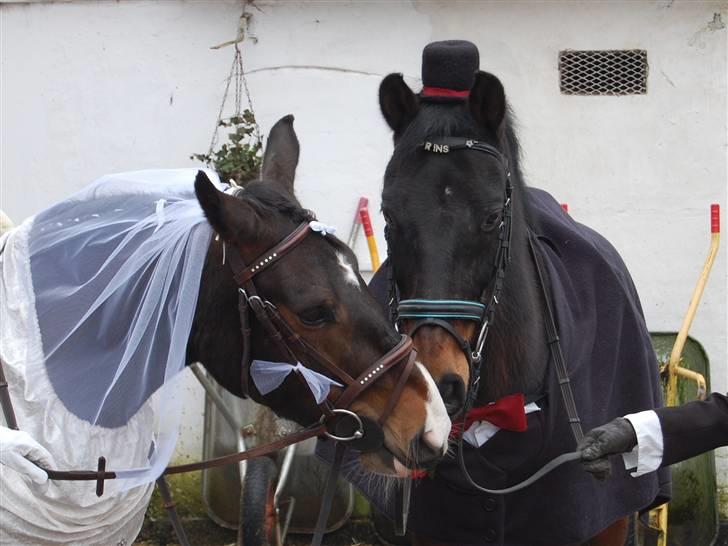 "Fastelavn er mit navn ..."  Fastelavns billeder :'D - Prins og Maggie<3 Hvor er de søde sammen !!! :o) MYYYS MYYYYS ^^
Fotograf: Min mor d: billede 17