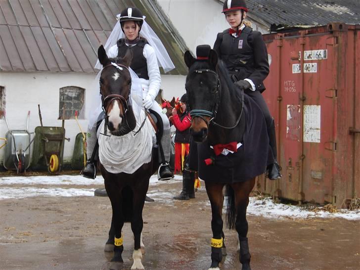 "Fastelavn er mit navn ..."  Fastelavns billeder :'D - Prins og Maggie<33

Klædt ud som brud og brudegom :] Så nu er de officelt blevet gift ! <3
Fotograf: Min mor d: billede 20