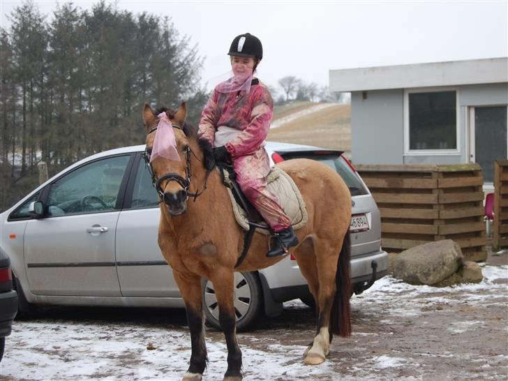 "Fastelavn er mit navn ..."  Fastelavns billeder :'D - Camilla og Rikke som er klædt ud som mavedanser ;D

Fotograf: Min mor d: billede 22