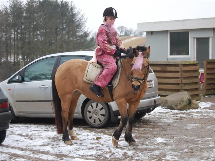 "Fastelavn er mit navn ..."  Fastelavns billeder :'D - Camilla og Rikke som er klædt ud som mavedanser ;D

Fotograf: Min mor d: billede 23