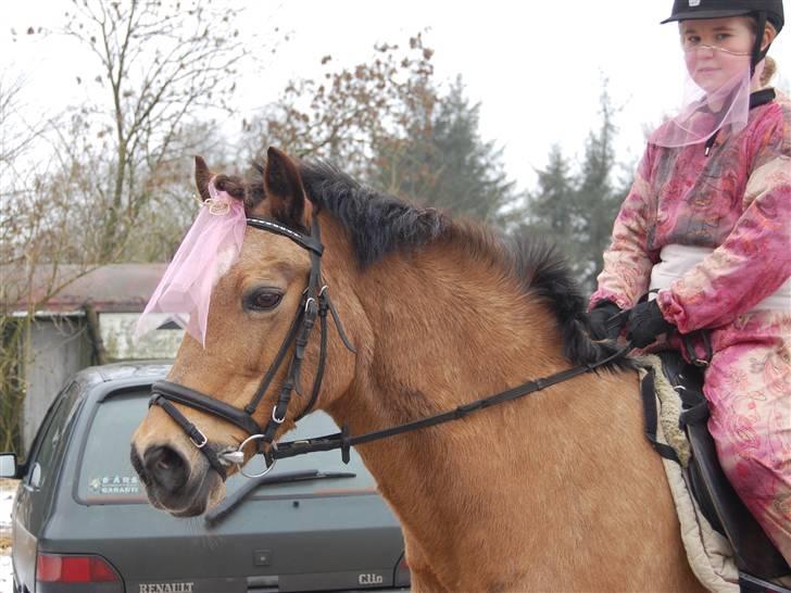 "Fastelavn er mit navn ..."  Fastelavns billeder :'D - Camilla og Rikke som er klædt ud som mavedanser ;D

Fotograf: Min mor d: billede 24