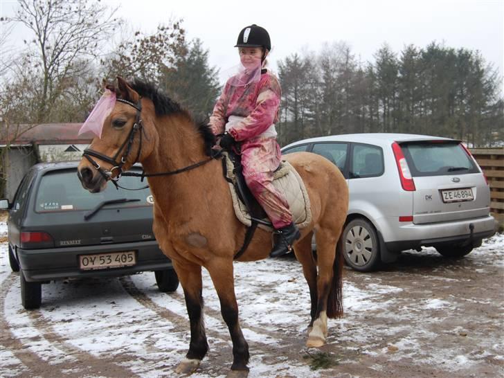 "Fastelavn er mit navn ..."  Fastelavns billeder :'D - Camilla og Rikke som er klædt ud som mavedanser ;D

Fotograf: Min mor d: billede 25