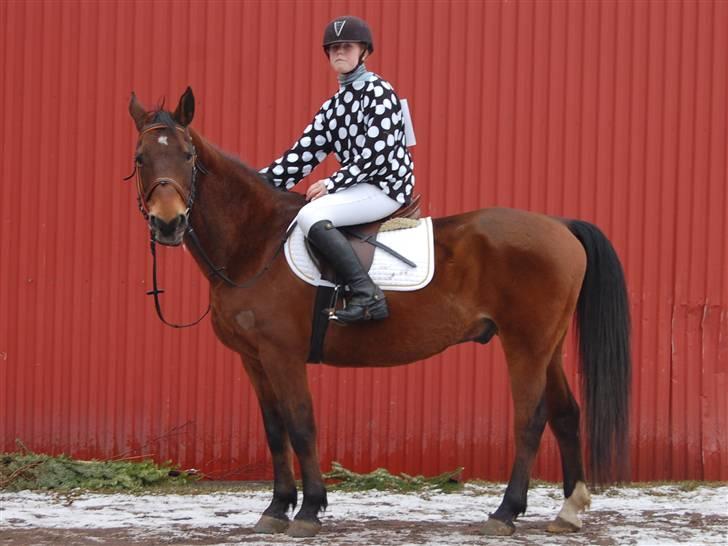 "Fastelavn er mit navn ..."  Fastelavns billeder :'D - Julie og Kenzo klædt ud som Jockey rytter med hest ! :]

Fotograf: Min mor <33 billede 26