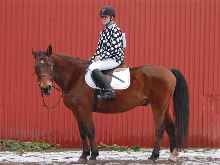 "Fastelavn er mit navn ..."  Fastelavns billeder :'D - Julie og Kenzo klædt ud som Jockey rytter med hest ! :]

Fotograf: Min mor <33 billede 27