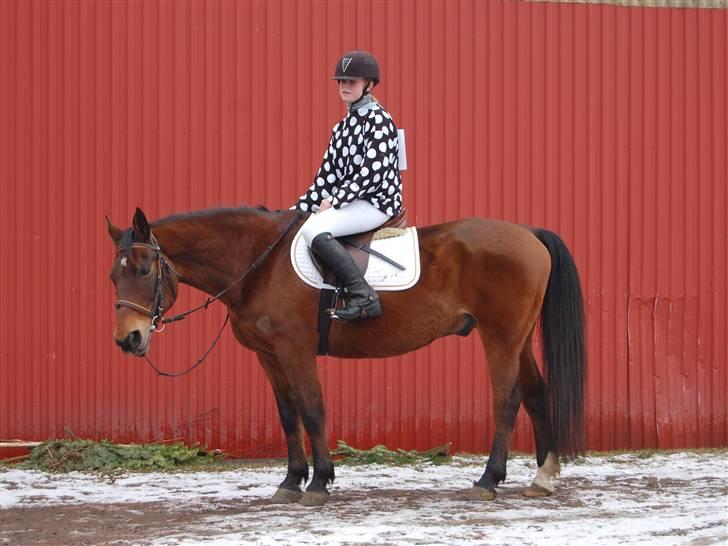 "Fastelavn er mit navn ..."  Fastelavns billeder :'D - Julie og Kenzo klædt ud som Jockey rytter med hest ! :]

Fotograf: Min mor <33 billede 28