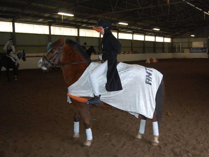 "Fastelavn er mit navn ..."  Fastelavns billeder :'D - Der kom søreme en pingvin på besøg med sin hest ! :O :D
Super og Rikke d;
Fotograf: Min mor<3 billede 29