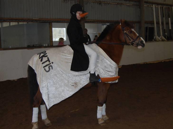 "Fastelavn er mit navn ..."  Fastelavns billeder :'D - Super og Rikke som er klædt ud som pingvin d:

Fotograf: Min mor<3 billede 30