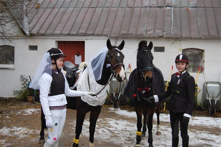 "Fastelavn er mit navn ..."  Fastelavns billeder :'D - Bruden og Brudegommen med deres søde ryttere igen xD

Fotograf: Min mor billede 32