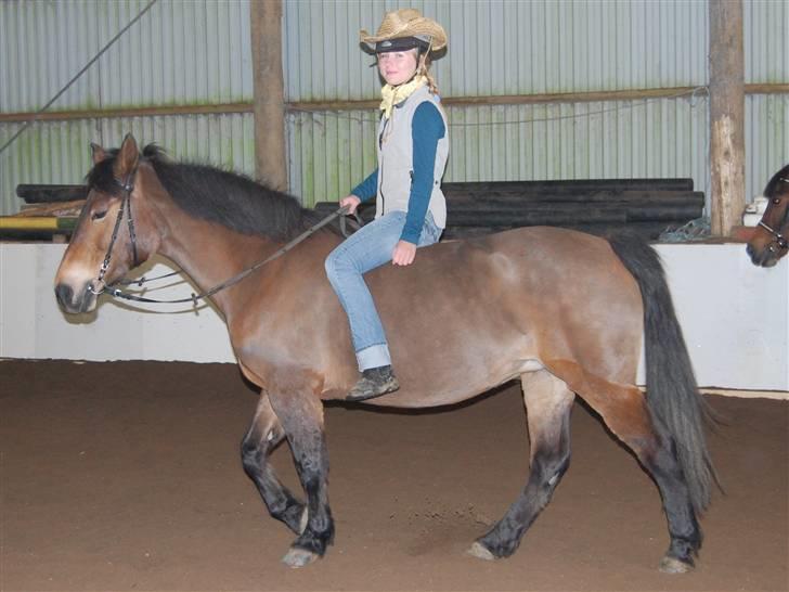 "Fastelavn er mit navn ..."  Fastelavns billeder :'D - Sarah og Mille klæd ud som Cowboy med sin POOONYYY ! ;P

Fotograf: Min mor <3 billede 34