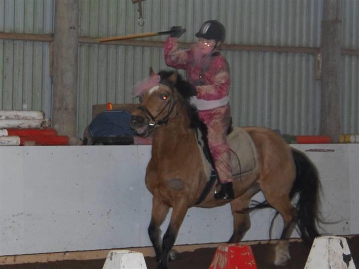 "Fastelavn er mit navn ..."  Fastelavns billeder :'D - Camilla og Rikke som er klædt ud som mavedanser ;D

Fotograf: Min mor d: billede 37