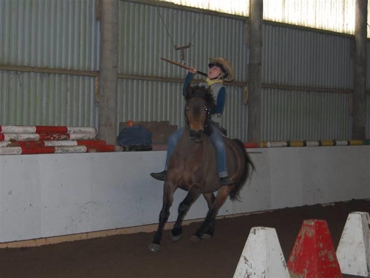 "Fastelavn er mit navn ..."  Fastelavns billeder :'D - Sarah og Mille klæd ud som Cowboy med sin POOONYYY ! ;P

Fotograf: Min mor <3 billede 39