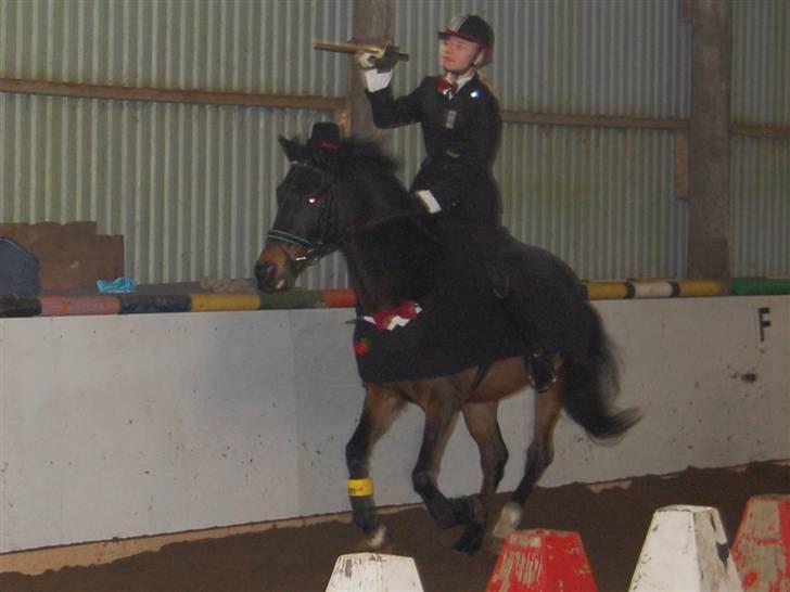 "Fastelavn er mit navn ..."  Fastelavns billeder :'D - Brudegommen d:
Fotograf: Min mutti<3 billede 42