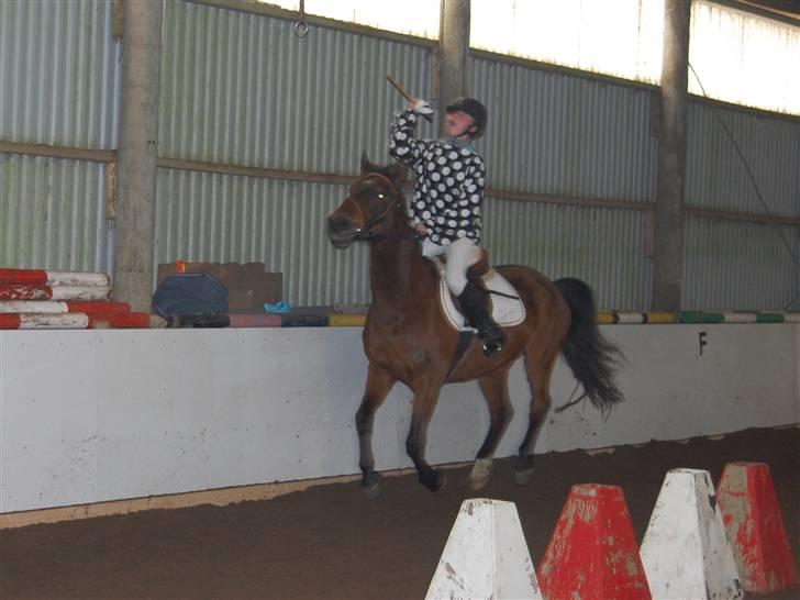 "Fastelavn er mit navn ..."  Fastelavns billeder :'D - Væddeløbshesten kenzo og jockeyen Julie ;D
Fotograf: Min mutti<3 billede 45