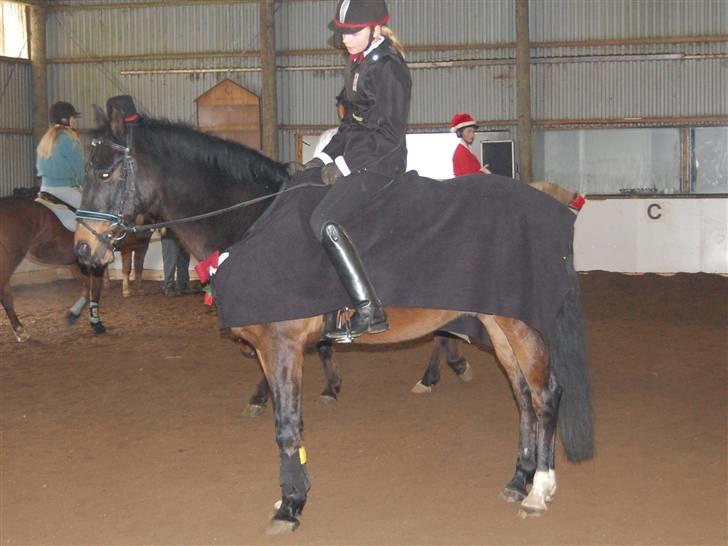 "Fastelavn er mit navn ..."  Fastelavns billeder :'D - Prinsen !<3
Fotograf: Min mutti<3 billede 46