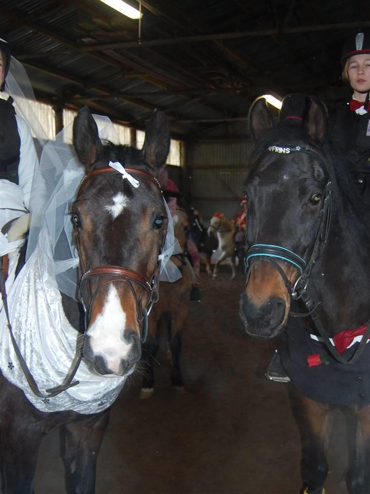 "Fastelavn er mit navn ..."  Fastelavns billeder :'D - Brud og brudegommen ! (Maggie og Prins)

Hvis Prin er en Prins så må maggie jo være en Prinsesse når hun gifter sig med en Prins ? d:
Fotograf: Mor billede 48