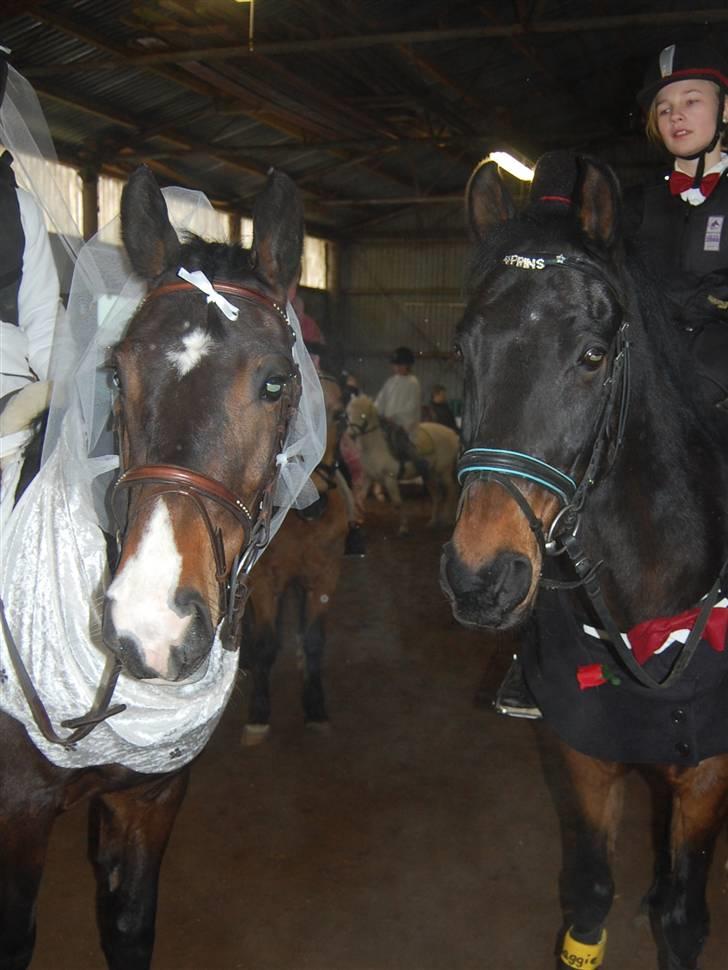 "Fastelavn er mit navn ..."  Fastelavns billeder :'D - Brud og brudegommen ! (Maggie og Prins)

Hvis Prins er en Prins så må maggie jo være en Prinsesse når hun gifter sig med en Prins ? d: 
Fotograf: Mor <3 billede 49