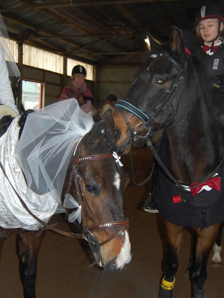 "Fastelavn er mit navn ..."  Fastelavns billeder :'D - Nusse nusse ! <3

Fotograf: Mor billede 50