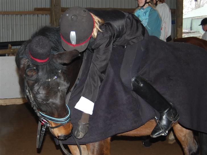 "Fastelavn er mit navn ..."  Fastelavns billeder :'D - Mig og Prinse<3

Fotograf: Mutti<3 billede 55