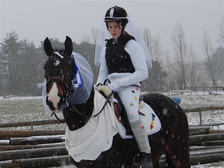 "Fastelavn er mit navn ..."  Fastelavns billeder :'D - Uhhh Maggie og Ida, i fik anden pladsen i ringridning, hvor er i dygtige ! Prinse er stolt af sin "kone" d:
Fotograf: Min mooooar <3 billede 59