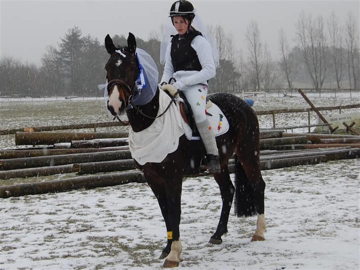 "Fastelavn er mit navn ..."  Fastelavns billeder :'D - Uhhh Maggie og Ida, i fik anden pladsen i ringridning, hvor er i dygtige ! Prinse er stolt af sin "kone" d:
Fotograf: Min mooooar <3 billede 60
